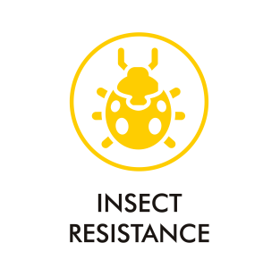 nsect-resistant Zip Blinds Singapore to keep mosquitoes and pests out of your balcony.